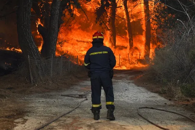 A firefighter tries to extinguishes a forest fire near the beach resort of Vatera, on the eastern Aegean island of Lesvos, Greece, Saturday, July 23, 2022. (Photo by Yorgos Karahalis/AP Photo)