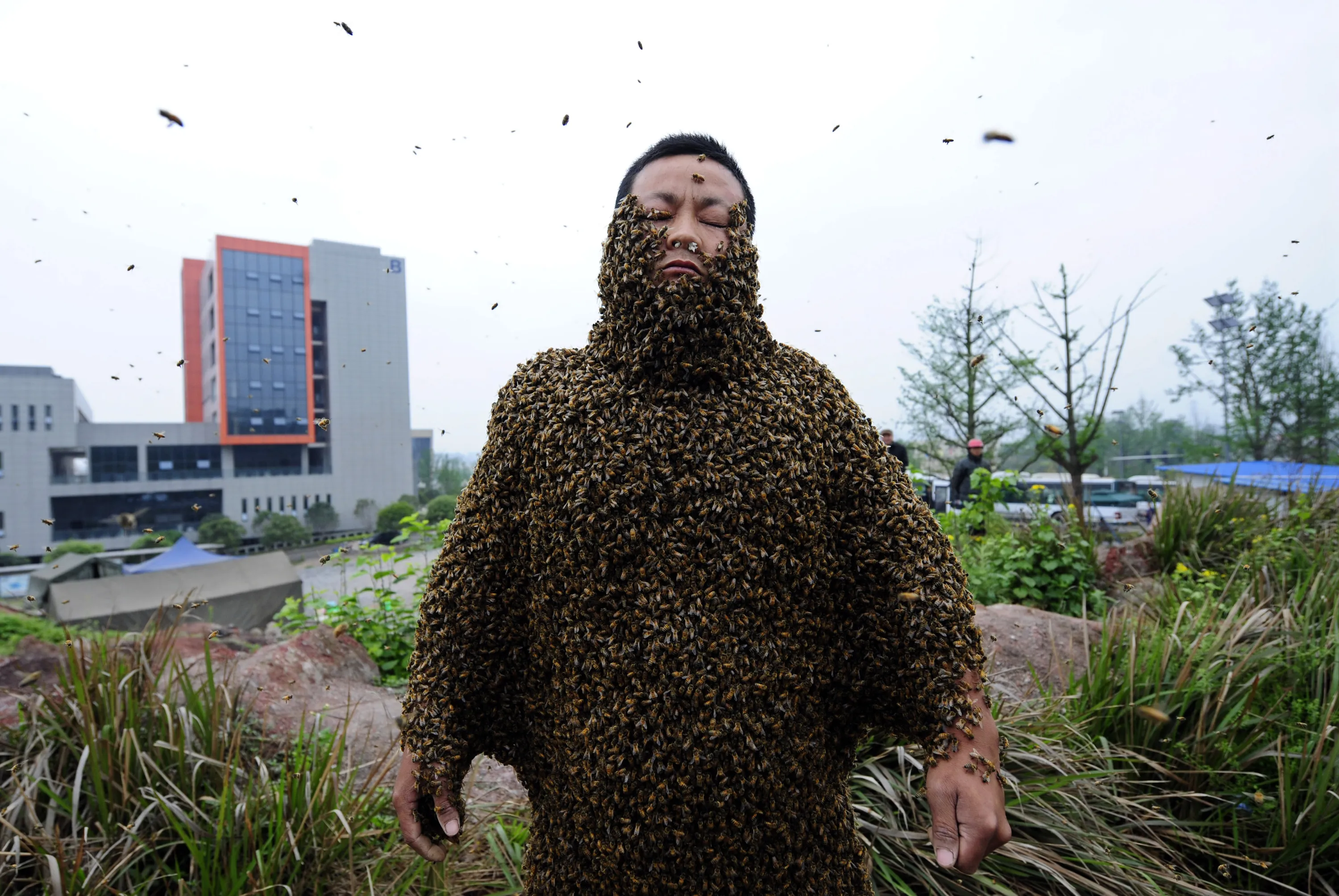 Попал книгу рекордов гиннеса. Костюм из пчел. Самый большой и страшный человек. Человек весь в пчелах.