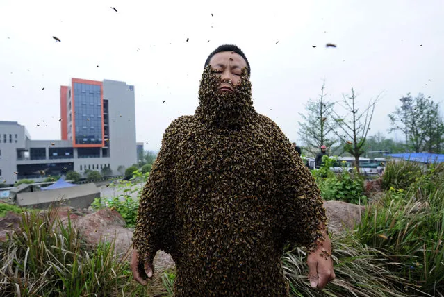 Beekeeper She Ping is covered with bees during a challenge to break the world record in Chongqing Municipality, April 18, 2012. She Ping, 32, broke the world record on Wednesday by covering his body with 33.1 kilograms of bees (about 331,000 bees), overtaking the last world record of 26.8 kilograms of bees which was attempted by a Jiangxi province beekeeper Ruan Liangming in 2008, local media reported. (Photo by Reuters/China Daily)