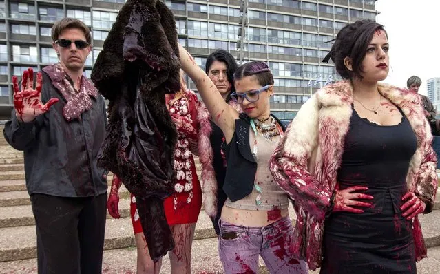 Israeli anti-fur activists take part in a fake fashion show during the Worldwide Fur Free Friday (WFFF) initiated by the international Anti-Fur coalition to ask for the dissolution of the fur trade on November 28, 2013 in the Israeli Mediterranean city of Tel Aviv. (Photo by Jack Guez/AFP Photo)
