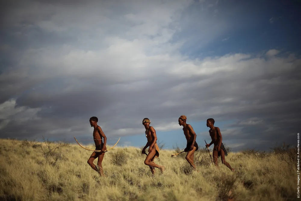 Study Suggests San Bushmen May Be Oldest Population On Earth