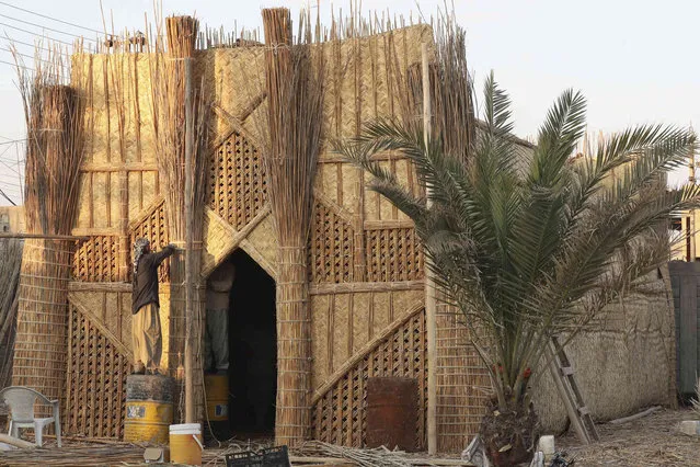 Iraqis work on the construction of a house made of reeds in Basra, Iraq, Thursday, December 7, 2023. (Photo by Nabil al-Jurani/AP Photo)