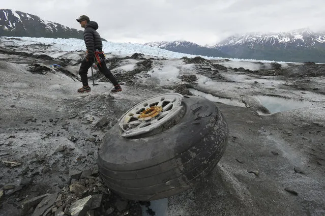 In this June 10, 2015 file photo, U.S. Marines Capt. David Gooch, with the Defense POW/MIA Accounting Agency, walks past an aircraft wheel assembly resting on the ice surface of Colony Glacier in Alaska. The Air Force says it's identified more remains of service members who died when a military transport plane slammed into the Alaska mountain six decades ago, killing all 52 people aboard. Military officials say 31 victims have been recovered and identified since the wreckage of the C-124 Globemaster was rediscovered four years ago. (Photo by Bill Roth/Alaska Dispatch News via AP Photo)