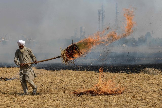 A farmer burns straw stubble after harvesting a paddy crop in a field on the outskirts Amritsar on November 8, 2021. (Photo by Narinder Nanu/AFP Photo)