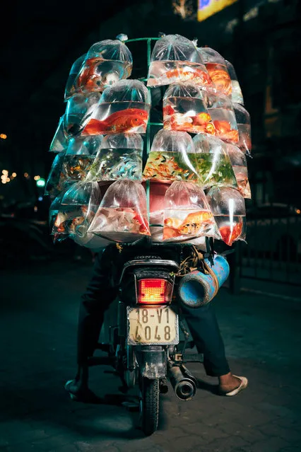 Live fish. Enoch travelled to Vietnam in February 2019, during the dry, cooler season, and worked every evening to capture atmospheric images in the glow of the city. (Photo by Jon Enoch/The Guardian)