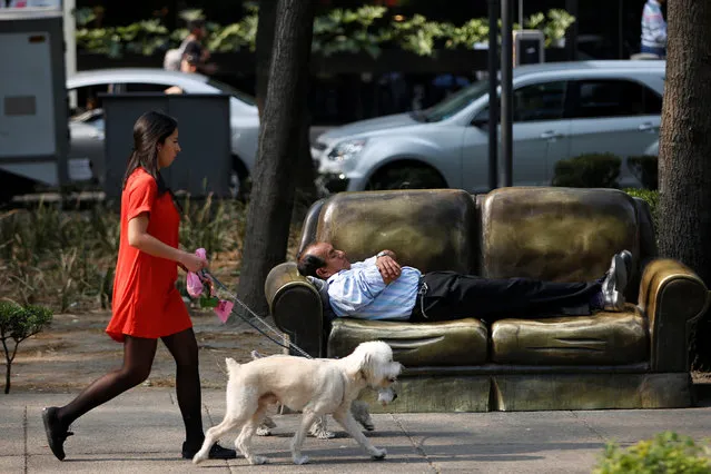 A man rests on a park bench in the shape of a sofa as a woman walks past with two dogs in Mexico City, Mexico February 21, 2017. (Photo by Jose Luis Gonzalez/Reuters)