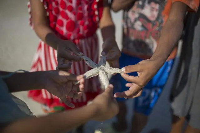 Moken children display a starfish they've found while scavenging at low tide. February 28, 2013 – Ko Surin, Thailand. (Photo by Taylor Weidman/zReportage via ZUMA Press)