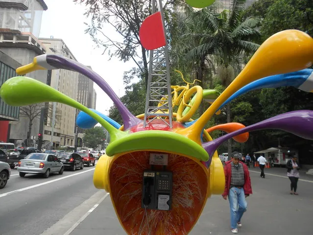 Call Paradei In Sao Paulo