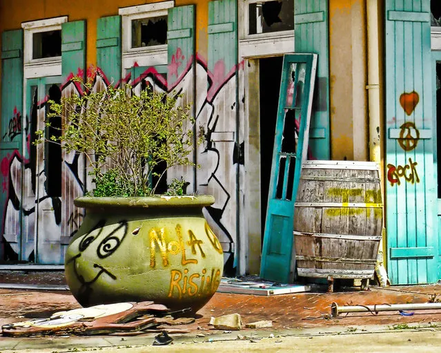 Abandoned Six Flags - New Orleans