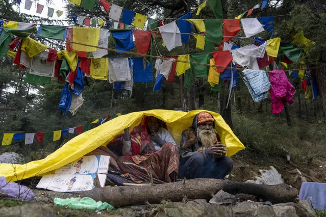 A man and a woman cover themselves with tarpaulin to stay dry under a rainfall in Dharmsala, India, Thursday, February 24, 2022. (Photo by Ashwini Bhatia/AP Photo)