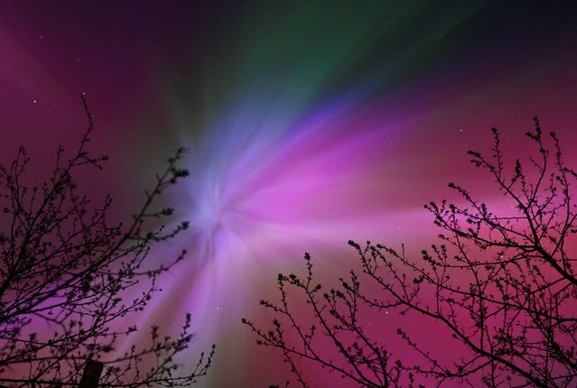 The aurora borealis, also known as the 'northern lights’, caused by a coronal mass ejection on the Sun, illuminate the skies over the southwestern Siberian town of Tara, Omsk region, Russia on May 11, 2024. (Photo by Alexey Malgavko/Reuters)