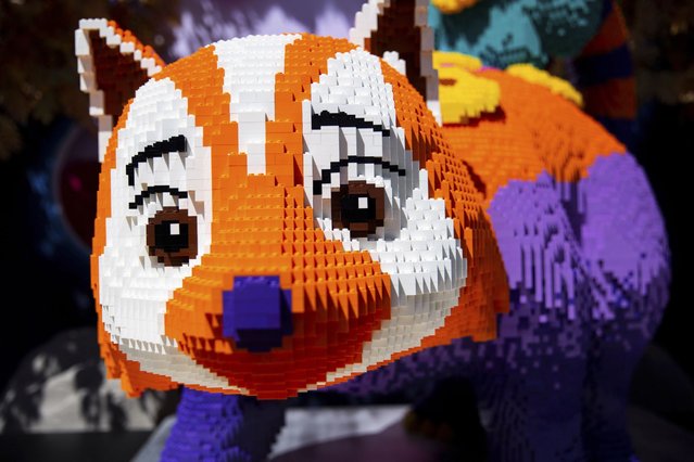 A Wild Adventure at the LA ZOO, a display of fantastical characters from the popular LEGO theme on Thursday, August 15, 2024 in Los Angeles. The event will be open to the public from August 15th to 18th. (Photo by Jenna Schoenefeld/AP Content Services for LEGO)