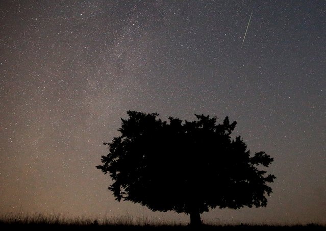 A meteor streaks across the sky during the Perseid meteor shower near Kraljevine on mountain Smetovi in the early morning August 12, 2015. (Photo by Dado Ruvic/Reuters)