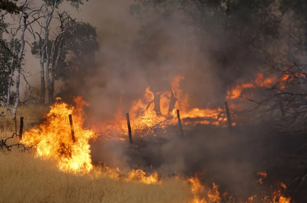 California Fires Update