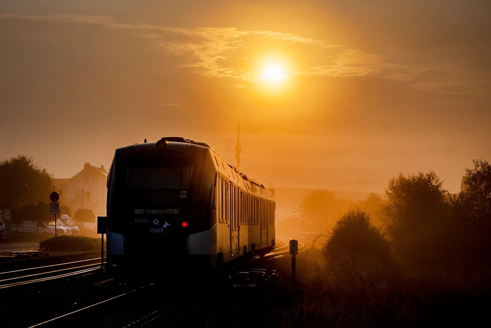 Some Photos: Foggy Day