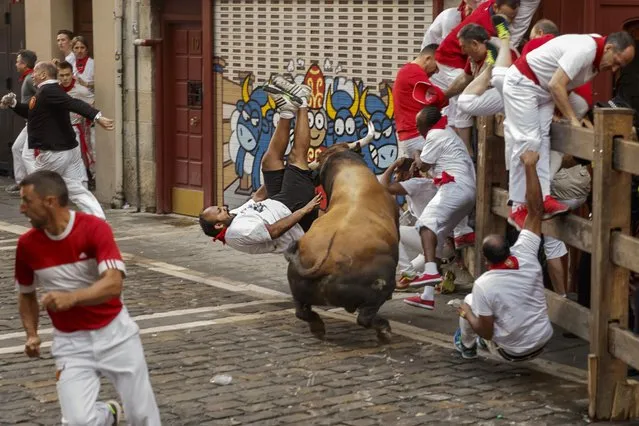 A reveler is gored by a Cebada Gago's ranch fighting bull during the running of the bulls in Pamplona, Spain, Friday, July 8, 2016. (Photo by Daniel Ochoa de Olza/AP Photo/ANSA)