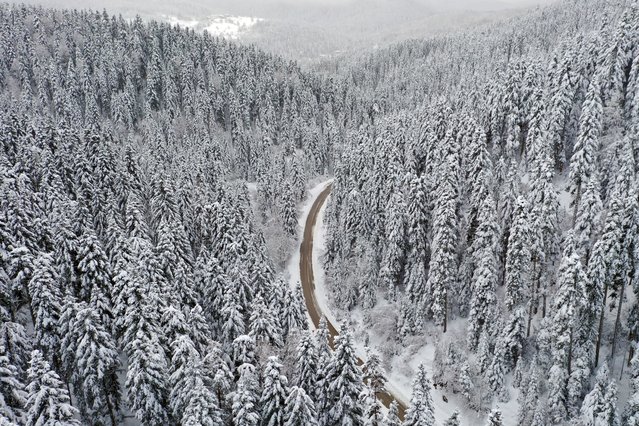 An aerial view of Kure Mountains, covered with snow, during winter in Kastamonu, Turkiye on November 26, 2024. (Photo by Ozgur Alantor/Anadolu via Getty Images)