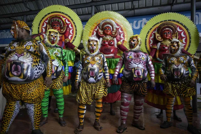 Pulikali or tiger dance artists pose for photographs before participating in the Athachamayam procession marking the beginning of Onam festival in Kochi, southern Kerala state, India, Tuesday, August 30, 2022. (Photo by R.S. Iyer/AP Photo)