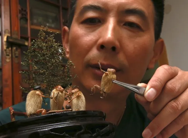Folk artist Yu Guangjun places “Maohou” figures onto a miniature display at his house in Beijing, September 2, 2014. “Maohou”, which means hairy monkey in Chinese, is a traditional art form in Beijing that dates back to the Qing Dynasty and requires only the use of cicada sloughs and Magnolia buds to form miniature sculptures. Yu has been using Maohou figures in his miniatures to depict scenes from Beijing during the 1960-70s period. (Photo by Kim Kyung-Hoon/Reuters)