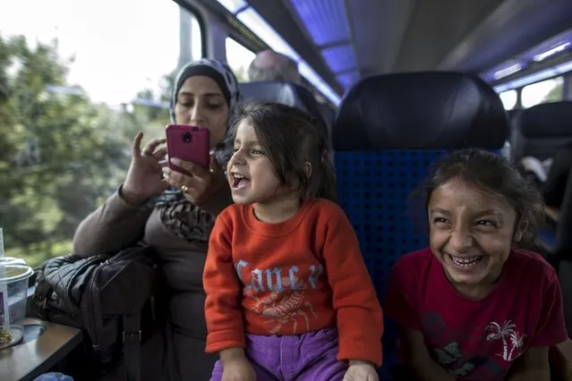 Abeer, 26, a Syrian migrant from Deir al-Zor, uses her mobile phone while her daughters Yasmine, 6 (R), and Hanine, 3, jokes with their father Ihab as they travel from Hamburg to Lubeck, Germany, in this September 18, 2015 file picture. Ihab steps off the train at Luebeck station and, seeing his family on the platform, breaks into a run. Ihab's parents and other family members found sanctuary in Luebeck some time ago, but have always longed for Ihab to join them. (Photo by Zohra Bensemra/Reuters)