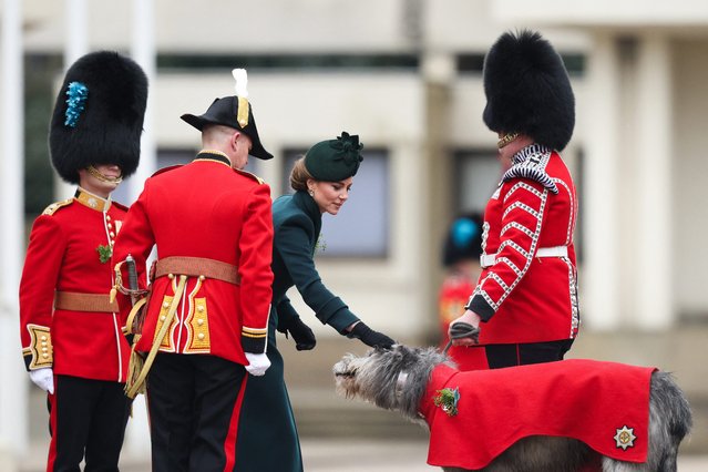 Britain's Catherine, Princess of Wales (C) pets the Irish Wolfhound named Turlough Mor as she attends St Patrick's Day Parade at Wellington Barracks, central London, on March 17, 2025. (Photo by Adrian Dennis/AFP Photo)