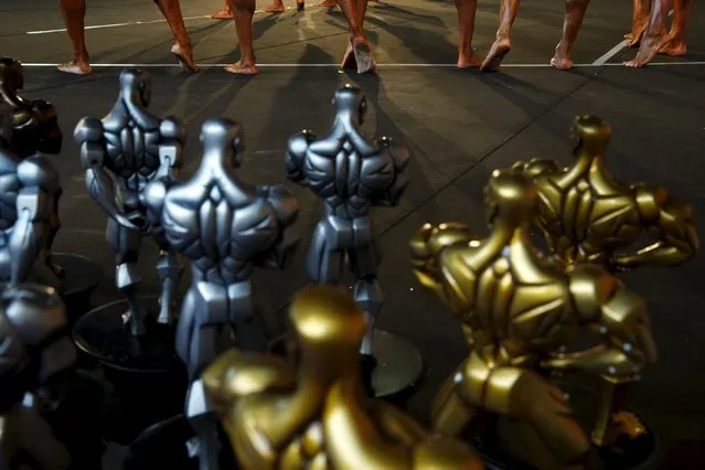 Competitors flex their legs next to trophies during the Arnold Classic Europe bodybuilding event in Madrid, Spain, September 25, 2015. (Photo by Susana Vera/Reuters)