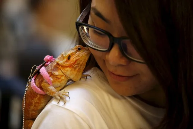 Hao Houhong places her friend's pet lizard Keity on her shoulder at a shopping mall in Beijing, China, October 2, 2015. (Photo by Kim Kyung-Hoon/Reuters)