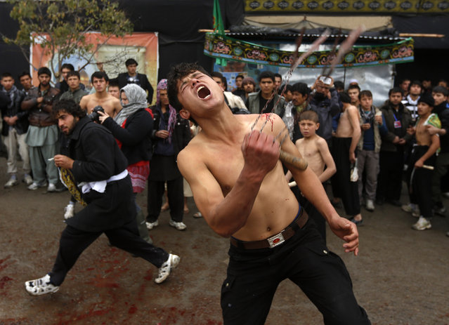 An Afghan Shi'ite Muslim flagellates himself during an Ashura procession in Kabul November 3, 2014. Ashura, which falls on the 10th day of the Islamic month of Muharram, commemorates the death of Imam Hussein, grandson of Prophet Mohammad, who was killed in the seventh century battle of Kerbala. (Photo by Omar Sobhani/Reuters)