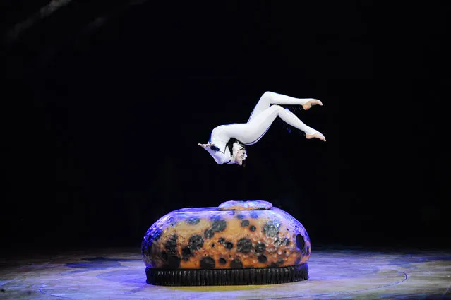 Cirque Du Soleil Dress rehearsal at the Royal Albert hall on January 09, 2018 in London, England. (Photo by Terry Scott/Barcroft Images)