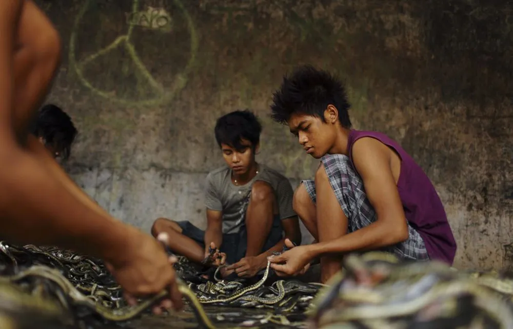 How Snakeskin Handbags Are Made 