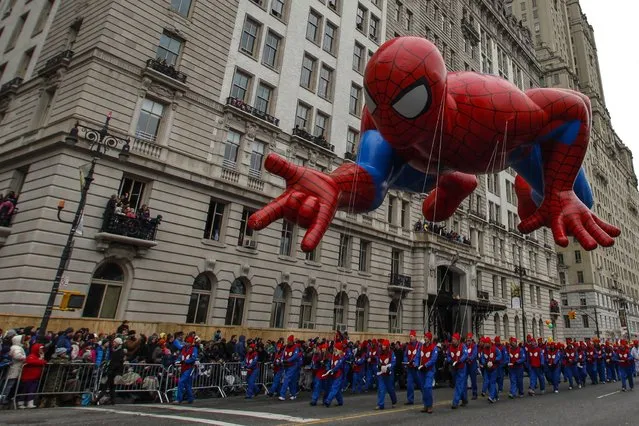 The Spiderman balloon floats down Central Park West during the 88th Macy's Thanksgiving Day Parade in New York November 27, 2014. (Photo by Eduardo Munoz/Reuters)
