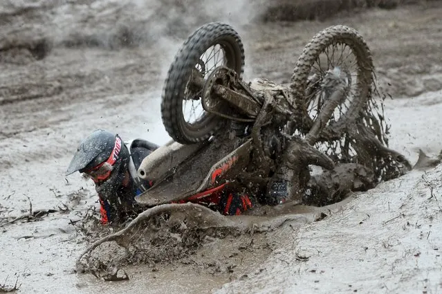 A rider crashes into the mud during the Gotland Grand National enduro race at Tofta, outside Visby on the island of Gotland, Sweden, October 24, 2015. (Photo by Maja Suslin/Reuters/TT News Agency)