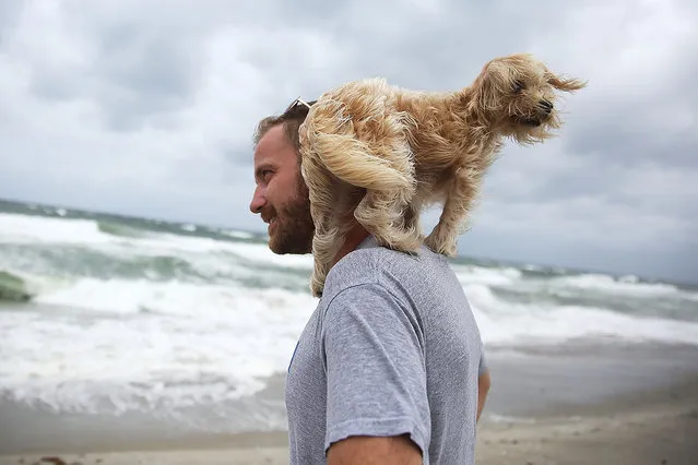 Ted Houston and his dog Kermit visit the beach as Hurricane Matthew approaches the area on October 6, 2016 in Palm Beach, United States.  The hurricane is expected to make landfall sometime this evening or early in the morning as a category 4 storm. (Photo by Joe Raedle/Getty Images)