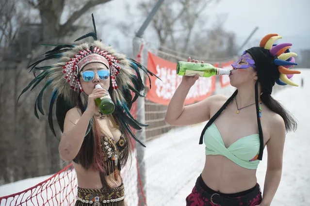 Women drink beer during the Naked Pig Skiing Carnival at the Yabuli Ski Resort on March 24, 2018 in Harbin of Heilongjiang Province, northeast China. (Photo by Tao Zhang/Getty Images)