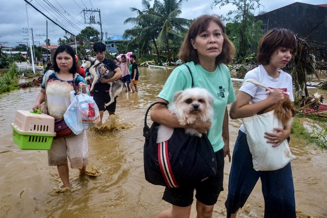 Residents carrying their belongings and pet dogs wade through a flooded street as they evacuate from their inundated homes in Liloan town, Cebu province, on November 4, 2025, after Typhoon Kalmaegi hit overnight. (Photo by Alan Tangcawan/AFP Photo)