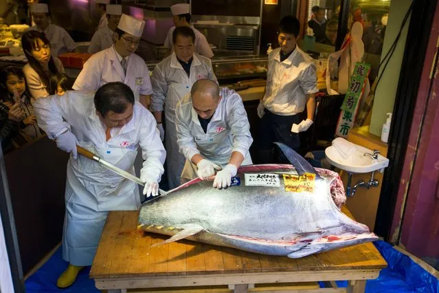 The President of the sushi restaurant chain Sushi Zanmai, Kiyoshi Kimura, cuts a blue fin tuna outside his main restaurant at the outer Tsukiji market in Tokyo January 5, 2015. The 180 kg blue fin tuna traded at a price of 4.5 million yen (37,500 USD) and was the most expensive fish at this year's New Year auction at the Tsukiji market, local media reported. (Photo by Thomas Peter/Reuters)