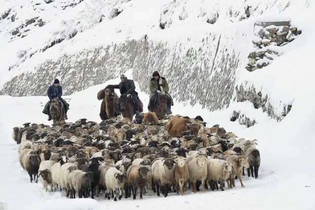 Kazakh herdsmen drive their sheep and goats among snow-covered fields at Guozigou valley in Yili, Xinjiang Uighur Autonomous Region, China, November 21, 2015. (Photo by Reuters/China Daily)