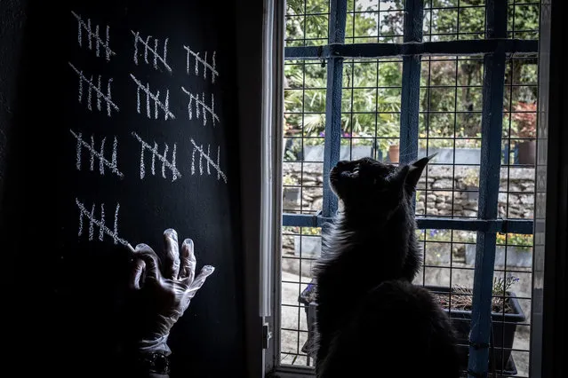 A person, watched by his cat, marks the days spent in confinement in his home in Givors near Lyon, France, on May 5, 2020. (Photo by Jean-Philippe Ksiazek/AFP Photo)