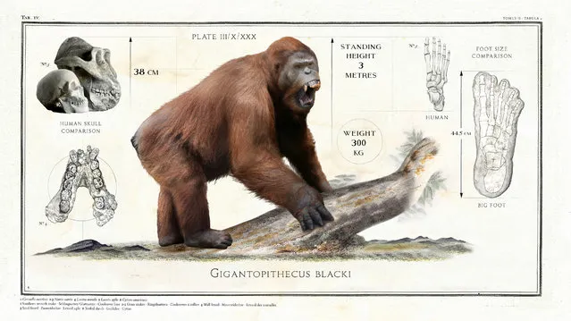 The Gigantopithecus Blacki, a giant ape from nine million years ago, was 3m tall. (Photo by Sky TV/The Guardian)