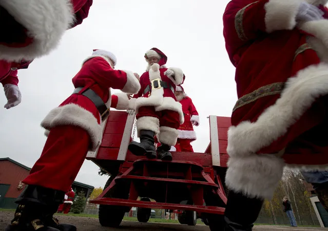 Santas disembark from a wagon following a tour around the Rooftop Landing Reindeer Farm in Clare, Michigan, U.S. October 30, 2016. (Photo by Christinne Muschi/Reuters)