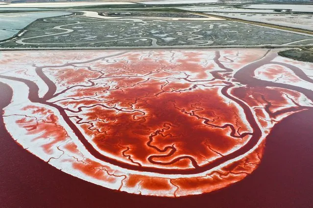 An aerial view of salt ponds during sunset at Alviso Marina County Park located in the San Francisco Bay in San Jose, California, United States on September 7, 2023. (Photo by Tayfun Coskun/Anadolu Agency via Getty Images)