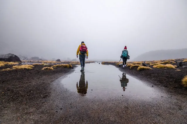 “Tongariro Alpine Crossing, North Island, New Zealand. Two determined backpackers make the most of a day with bad weather. My eye was caught by the reflections of the colourful clothing against the misty background”. (Photo by Cat Vezmar/The Guardian)