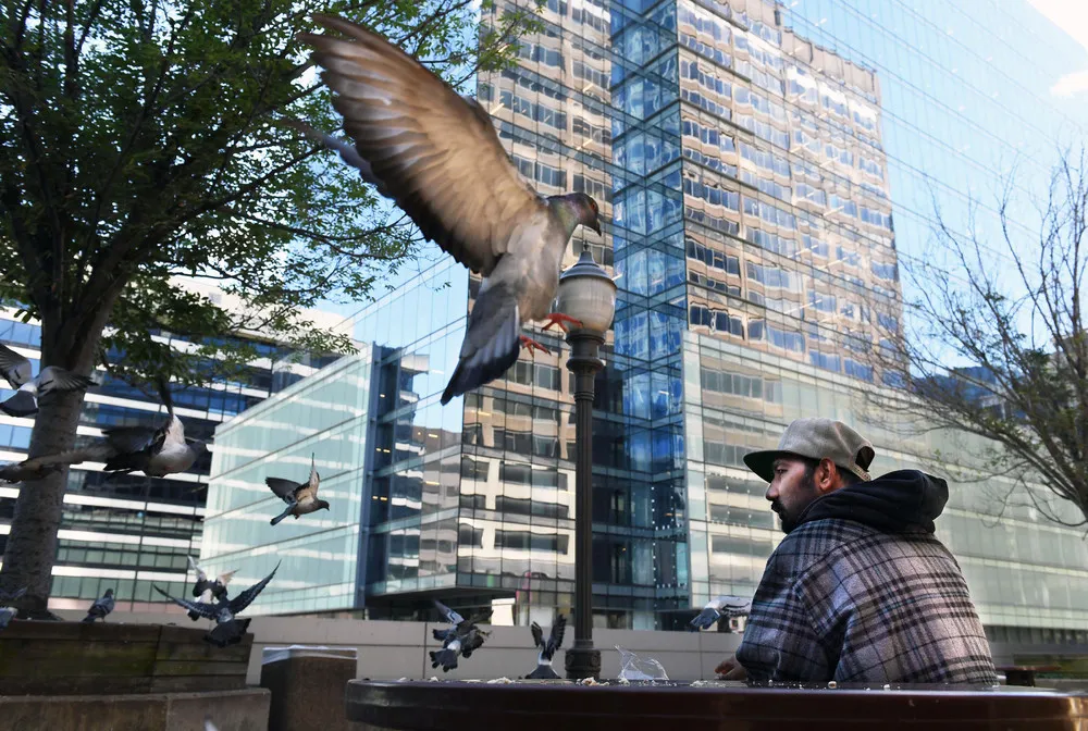 A Look at Life in USA, Part 1/2