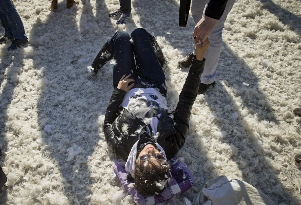The International Pillow Fight Day