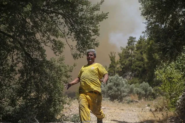 A man runs away from an advancing fire in Cokertme village, in Bodrum, Mugla, Turkey, Monday, August 2, 2021. For the sixth straight day, Turkish firefighters were battling Monday to control the blazes tearing through forests near Turkey's beach destinations. Fed by strong winds and scorching temperatures, the fires that began Wednesday have left eight people dead and forced residents and tourists to flee vacation resorts in a flotilla of small boats. (Photo by Emre Tazegul/AP Photo)