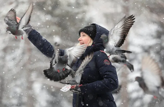 A woman feeds pigeons in a park during a snowfall in Almaty, Kazakhstan February 12, 2019. (Photo by Pavel Mikheyev/Reuters)