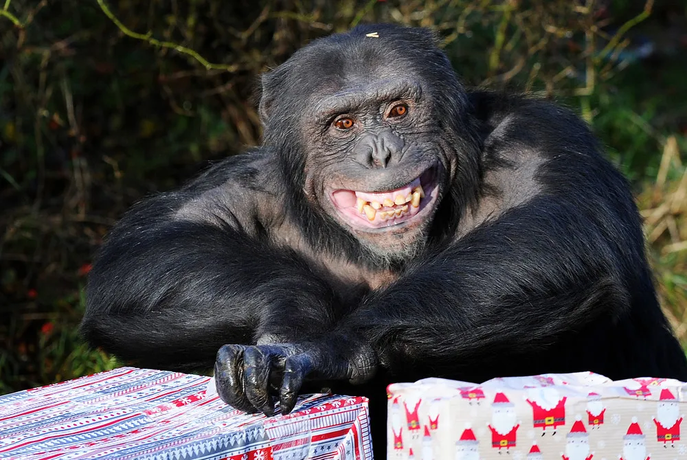 Simply Some Photos: Animals [January 2014]