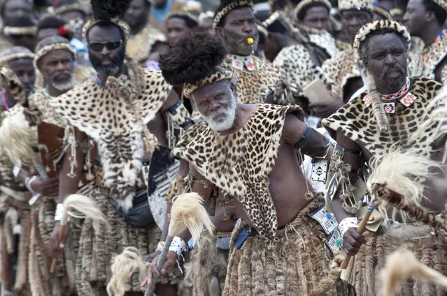 Members of the Shembe Church wearing leopard skins during their dance celebrations at eBuhleni, near Durban, South Africa, Sunday, January 29, 2017. At least 1,200 men in ceremonial attire have danced at a mainly Zulu gathering wearing a mix of hides of illegally hunted leopards and Chinese-made, spotted capes designed by conservationists to reduce demand for the real thing. (Photo by Khaya Ngwenya/AP Photo)