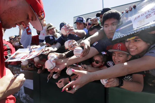 Fans squeeze forward as they try to get an autograph from Los Angeles Angels' Mike Trout before a spring training baseball game against the Seattle Mariners, Sunday, March 10, 2019, in Tempe, Ariz. (Photo by Elaine Thompson/AP Photo)