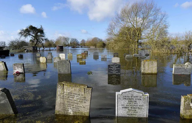 A graveyard is seen underwater in the village of Moorland in south west England February 7, 2014. Many areas of the Somerset Levels have been underwater for over a month in the wettest January in Britain on record. Severe weather warnings for rain and gale force winds have been issued for the weekend. (Photo by Toby Melville/Reuters)
